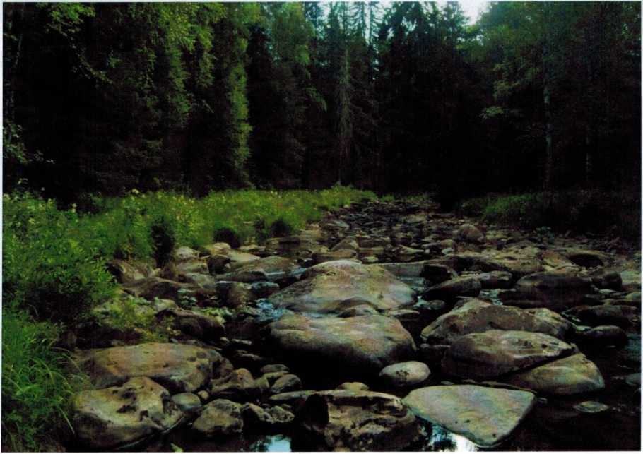Верховье реки Нуры, фото Н. Сметнёва 2008 года