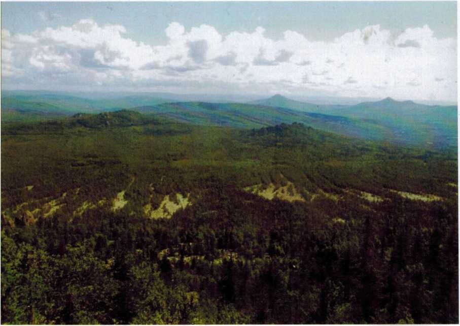 Вид с горы Маярдак на хребет Соколиный, третью Малиновку, на Кирель, фото О. Игиташева 2014 года