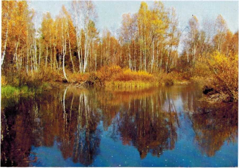 Осень, фото О. Игиташева