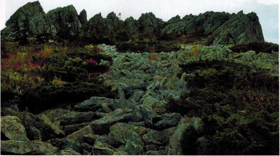 Скальные гребни, фото В. Поздеева