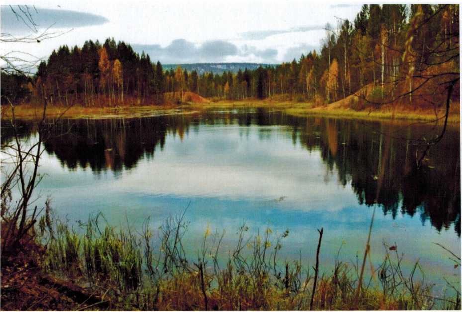 Верхняя Арша - озеро, фото А. В. Борискова