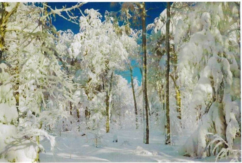Зима на горе Первой Малиновой, фото А. Крепышева 2010 года
