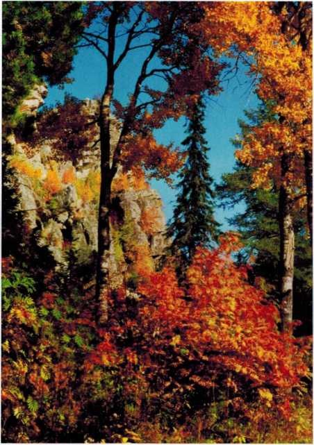 Золотая осень гора Первая Малиновая 2005 год, фото А. Крепышева