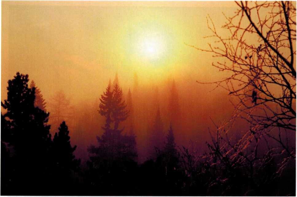 Восход солнца ноябрь фото А. Крепышева. 2008 года