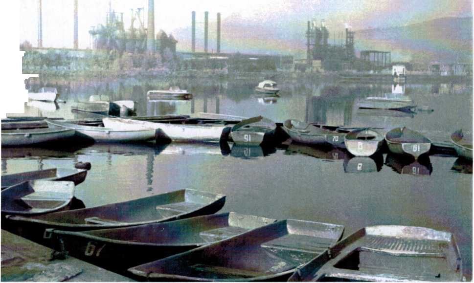 Утро на пруду, фото Н. Панченко 1970-е годы