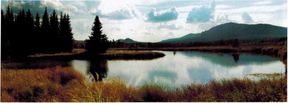 Журавлиное болото, фото И. Панченко