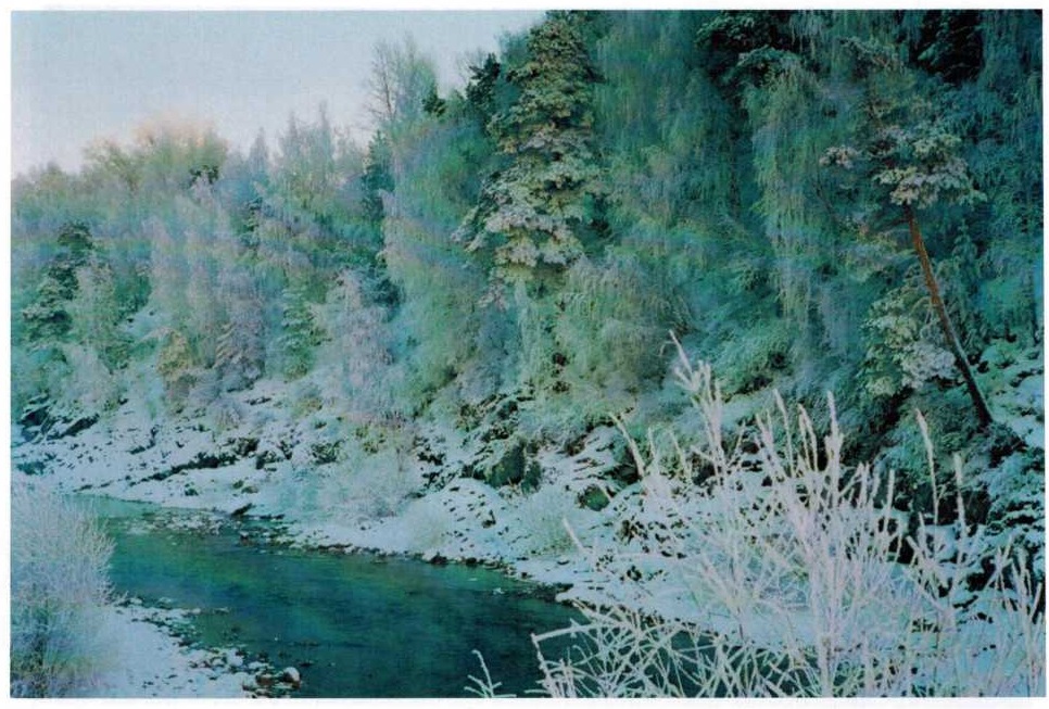Река Белая у Заводоуправления, фото А. Крепышева 2010 год