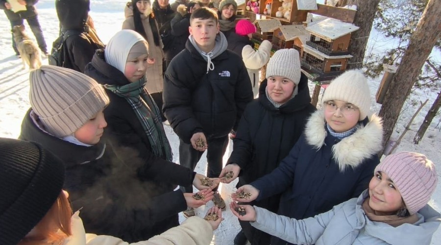 Ученики Гимназии города Белорецка подкармливают зимующих птиц